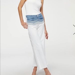 7 For All Mankind White Jean with Chevron